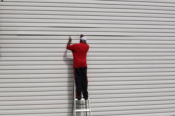 Best Insulated Siding Installation  in Doney Park, AZ