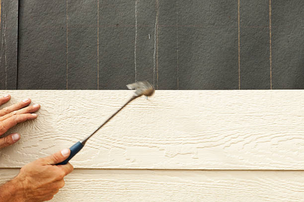 Best Insulated Siding Installation  in Doney Park, AZ